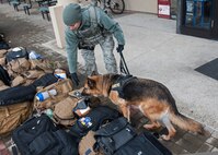 Staff Sgt. Monica Bizallion Ruiz, 8th Security Forces Squadron military working dog handler, and her assigned 6-year-old German Shepherd, Stella, conduct a customs security inspection at Kunsan Air Base, Republic of Korea, Nov. 13, 2014. More than 1,000 personnel from various ROK air force units, the U.S. Navy, Marine Corps, Army and Air Force participated in Max Thunder 14-2, the largest biannual joint training exercise on the Korean Peninsula. (U.S. Air Force photo by Senior Airman Katrina Heikkinen/Released)
