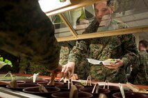 U.S. Navy sailors and Marines grab food to go at the O’Malley Dining Facility at Kunsan Air Base, Republic of Korea, Nov. 13, 2014. More than 1,000 personnel from various ROK air force units, the U.S. Navy, Marine Corps, Army and Air Force participated in Max Thunder 14-2, the largest biannual joint training exercise on the Korean Peninsula. (U.S. Air Force photo by Senior Airman Katrina Heikkinen/Released)