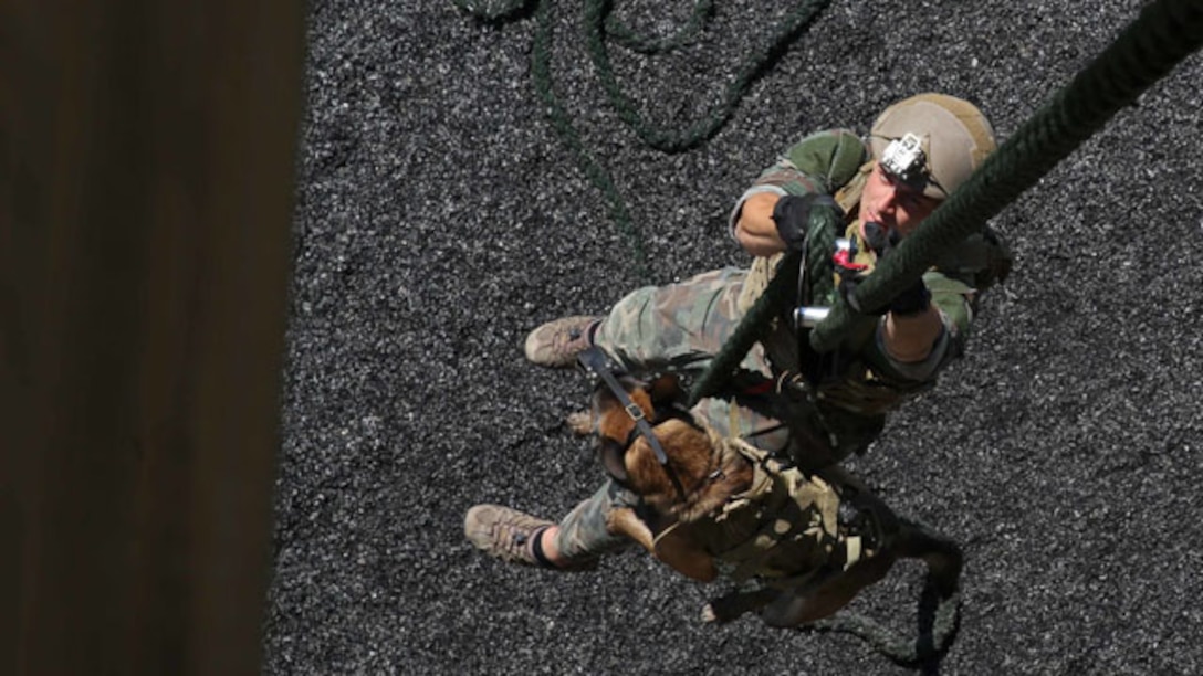 A Multi-Purpose Canine handler, with U.S. Marine Corps Forces Special Operations Command, fast-ropes with his canine aboard Stone Bay, Oct. 1, 2014. As MARSOC continues to demonstrate their capabilities and versatilities, MPC handlers with the command are preparing themselves and their canines for new areas of operation, they’ll be deploying to. (U.S. Marine Corps Photo by Cpl. Steven Fox/Released)