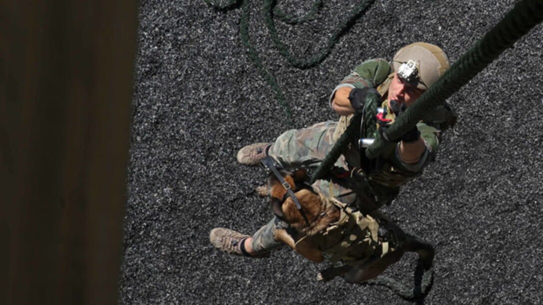 A Multi-Purpose Canine handler, with U.S. Marine Corps Forces Special Operations Command, fast-ropes with his canine aboard Stone Bay, Oct. 1, 2014. As MARSOC continues to demonstrate their capabilities and versatilities, MPC handlers with the command are preparing themselves and their canines for new areas of operation, they’ll be deploying to. (U.S. Marine Corps Photo by Cpl. Steven Fox/Released)