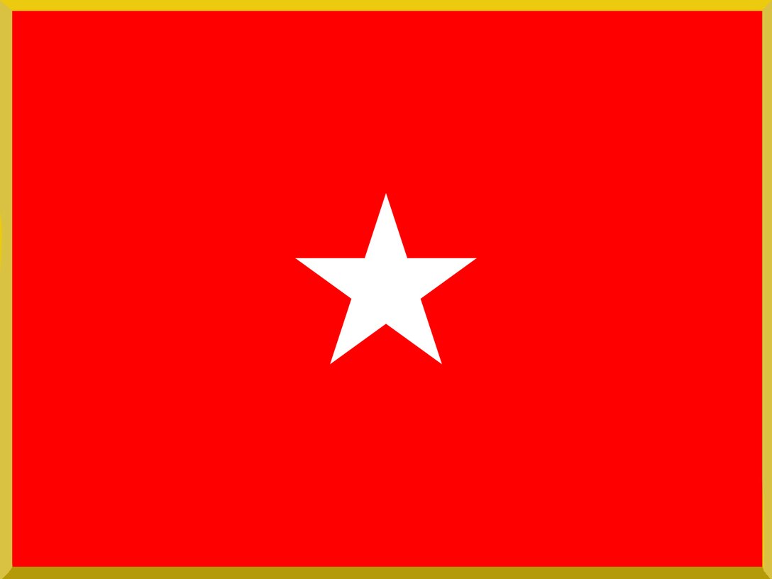 Brigadier General's flag