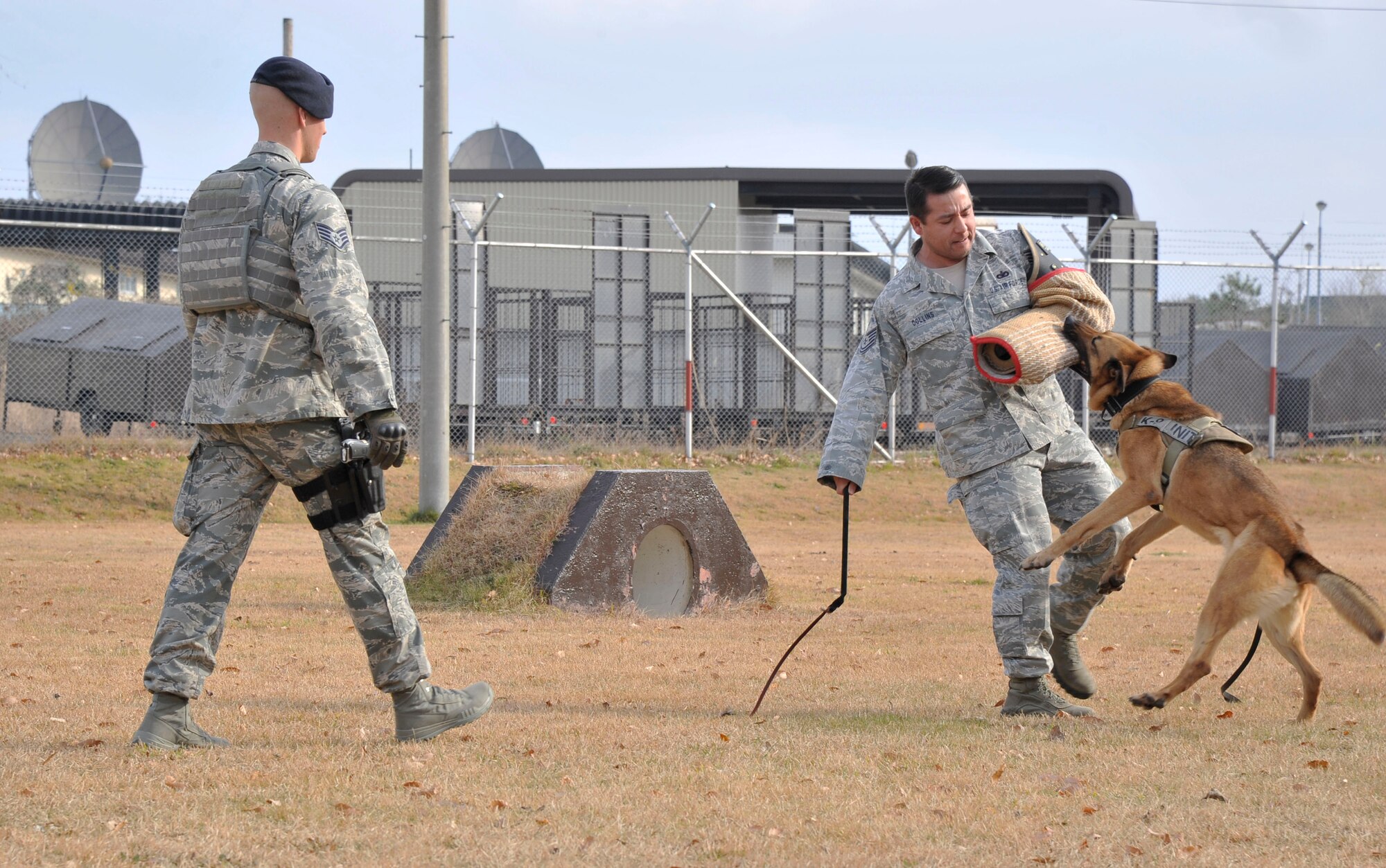 U.S. Air Force Tech. Sgt. Benjamin Collins, 35th Security Forces Squadron, kennel master, and U.S. Air Force Staff Sgt. Kyle Rademacher, 35 SFS military working dog handler demonstrate a scenario for Japan Air Self-Defense Force officers at Misawa Air Base, Japan, Nov. 25, 2014. Collins simulated an aggravated assault, prompting MWD Charly to disarm him. (U.S. Air Force photo by Airman 1st Class Patrick S. Ciccarone/Released)