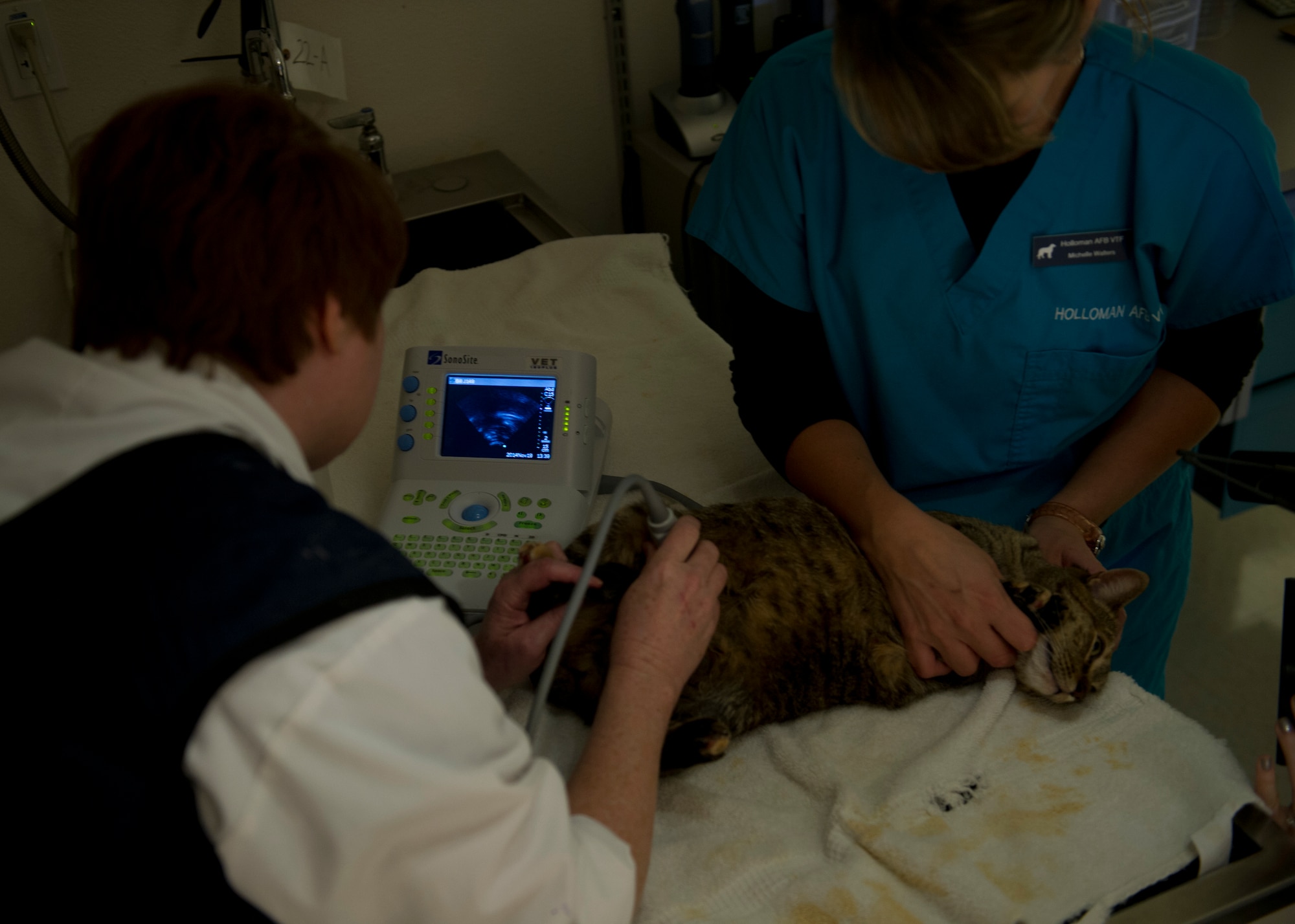 Doctor Elizabeth Todd, Holloman veterinarian and Michelle Walters, Holloman veterinarian technician perform an ultra-sound on a patient at Holloman Air Force Base, N.M., Nov. 19. The Holloman Veterinarian Clinic operates Monday through Friday providing care to the pets of Team Holloman. They provide wellness check-ups, dental work, and small surgical procedures. They also provide care to all Military Working Dogs stationed on Holloman. (U.S. Air Force photo by Senior Airman Leah Ferrante/released)