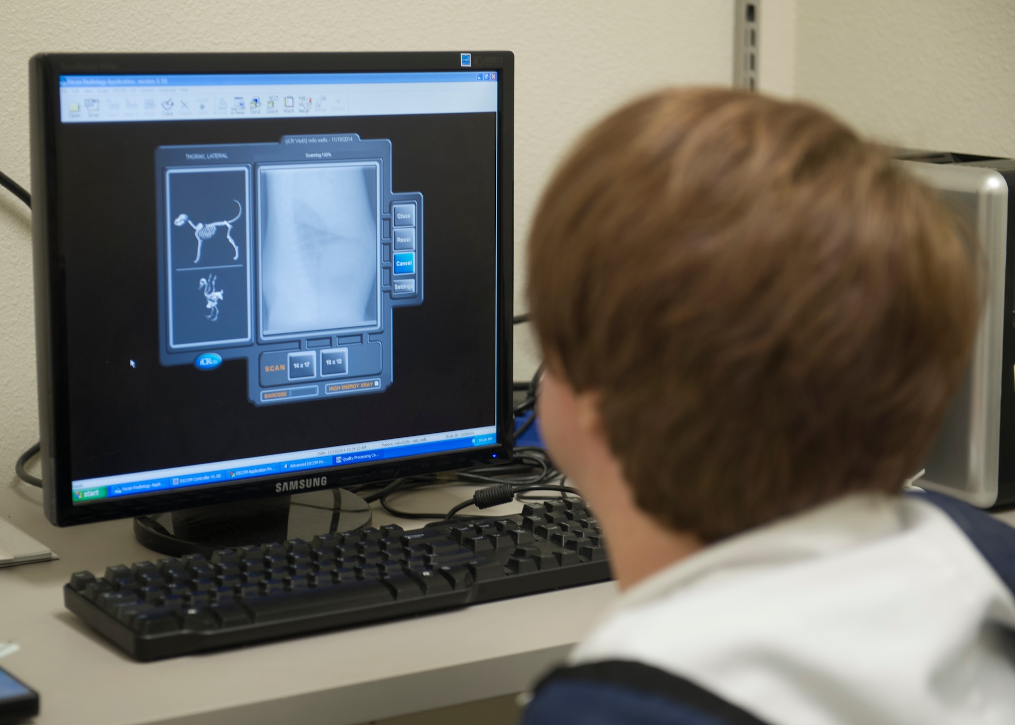 Doctor Elizabeth Todd, Holloman veterinarian reviews x-rays from 6-year-old Miles at Holloman Air Force Base, N.M., Nov. 19. The Holloman Veterinarian Clinic operates Monday through Friday providing care to the pets of Team Holloman. They provide wellness check-ups, dental work, and small surgical procedures. They also provide care to all Military Working Dogs stationed on Holloman. (U.S. Air Force photo by Senior Airman Leah Ferrante/released)