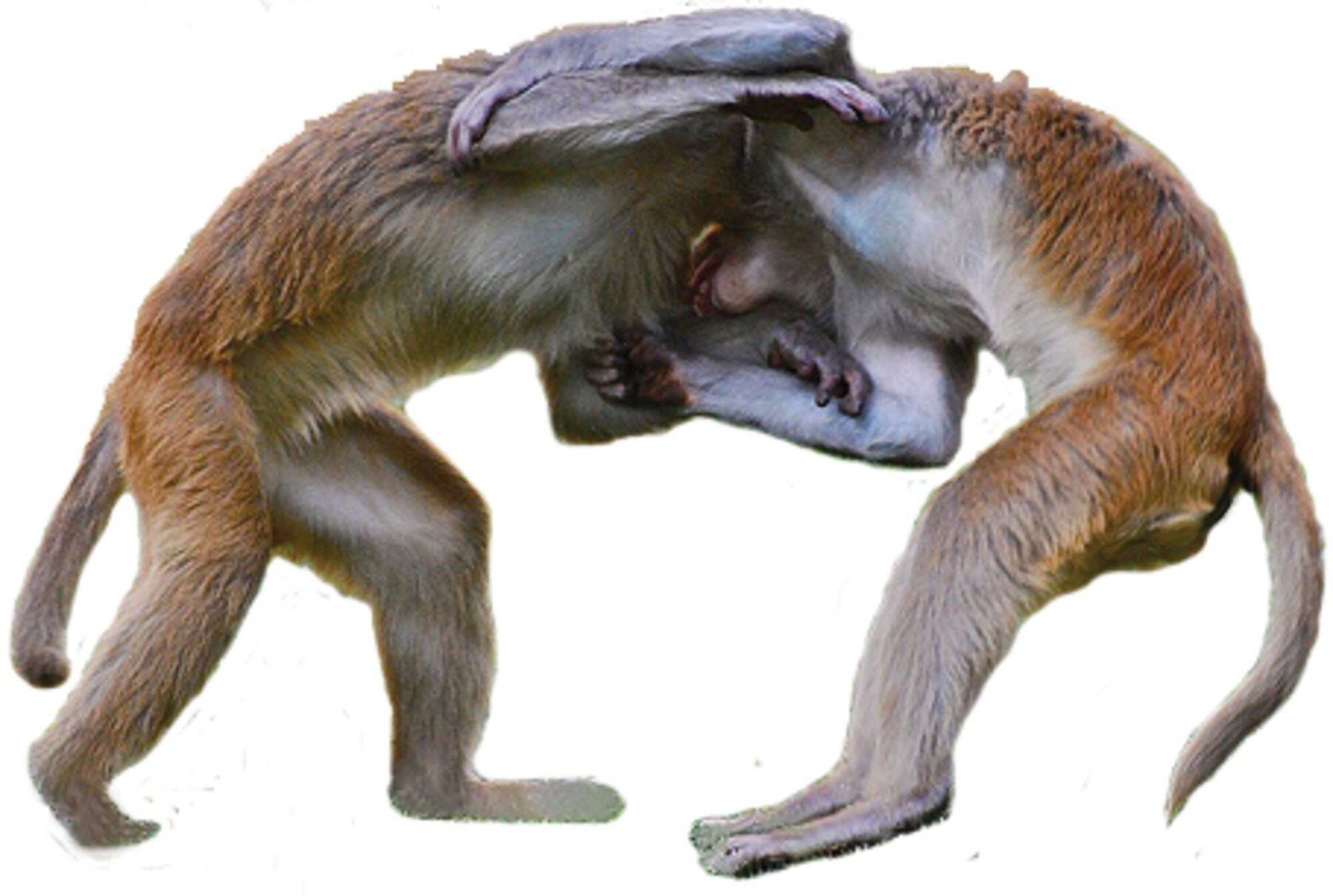 “Analysis indicates that human error is identified as a causal factor in 80-90 percent of mishaps, and is present but not causal in another 50-60 percent of all mishaps, and is therefore the single greatest mishap hazard. Yet, simply writing off mishaps to ‘operator error,’ (or dismissing high accident potential conditions as something we just have to live with), is a simplistic, if not naïve, approach to mishap causation and hazard identification. Mishaps are the end result of a myriad of latent, failures or conditions that precede active failures.”  -- DoD HFACS Guide