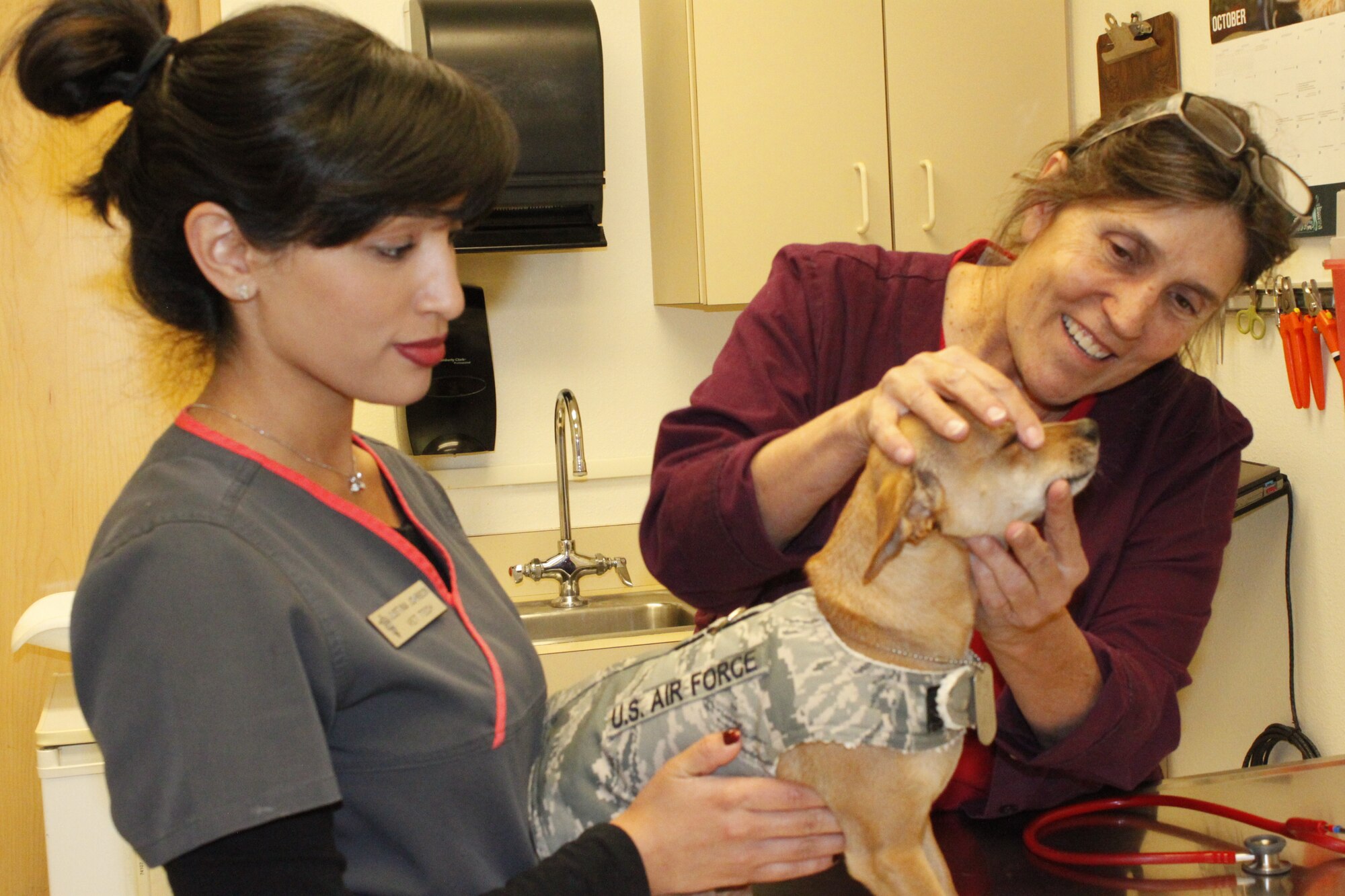 Dr. Susan Larson, veterinarian, and Justina Johnson, registered veterinary technician, administer a wellness exam at the Kirtland Animal Treatment Facility.  (Photo by Meredith Mingledorff) 
