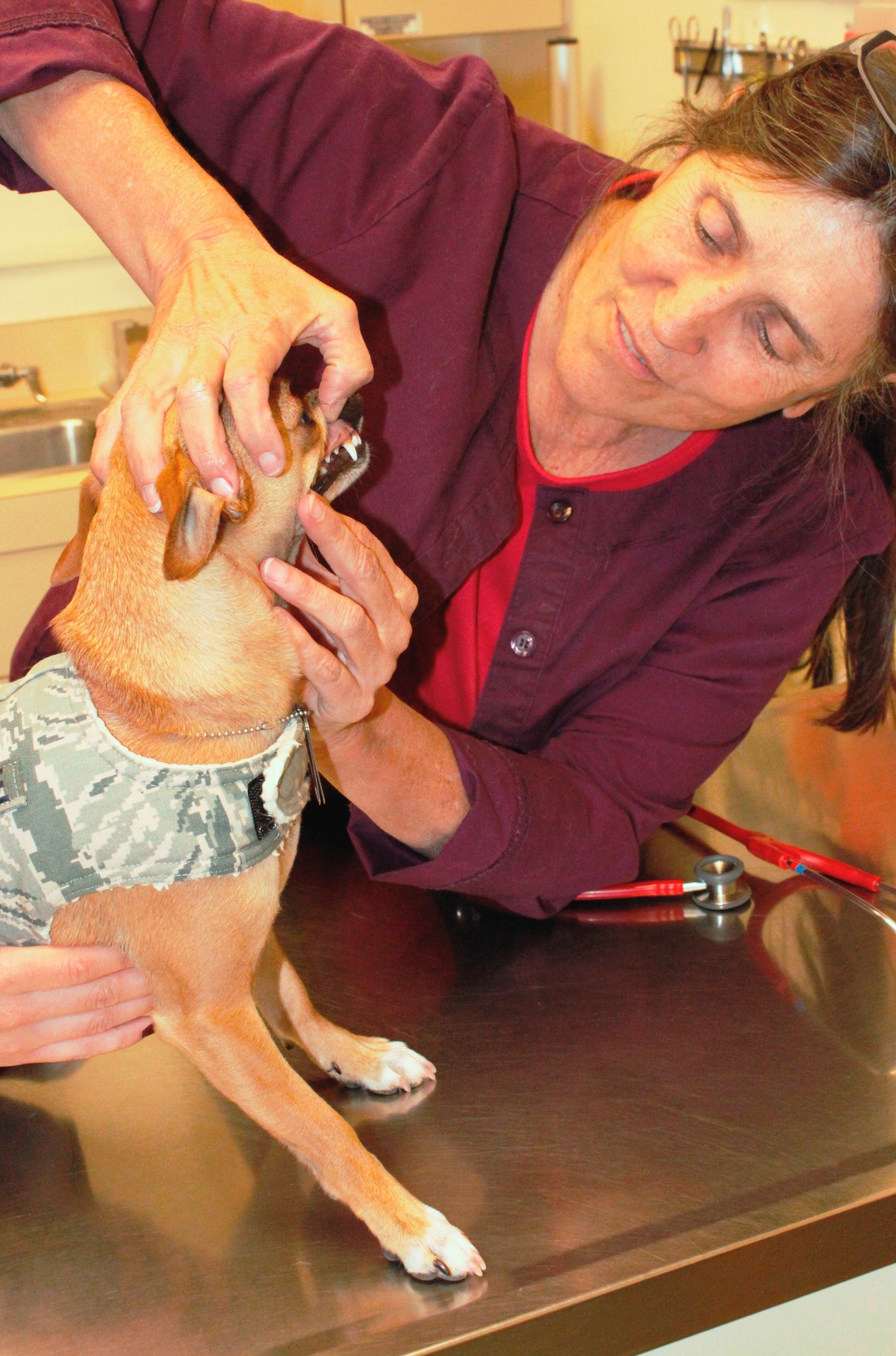 Dr. Susan Larson, a veterinarian at the Kirtland Animal Treatment Facility, goes through a physical exam with her patient, checking the puppy’s teeth and vital signs. (Photo by Meredith Mingledorff)
