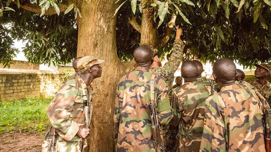 While teaching a counter-IED class, an Explosive Ordnance Disposal Technician points out a simulated IED hidden in a tree to soldiers with the Uganda People’s Defense Force in Camp Singo, Uganda, Nov. 4, 2014. EOD Technicians with SPMAGTF-Crisis Response-Africa are working alongside the UPDF, helping hone their skills in countering-improvised explosive devices during a logistics and engineering training engagement.