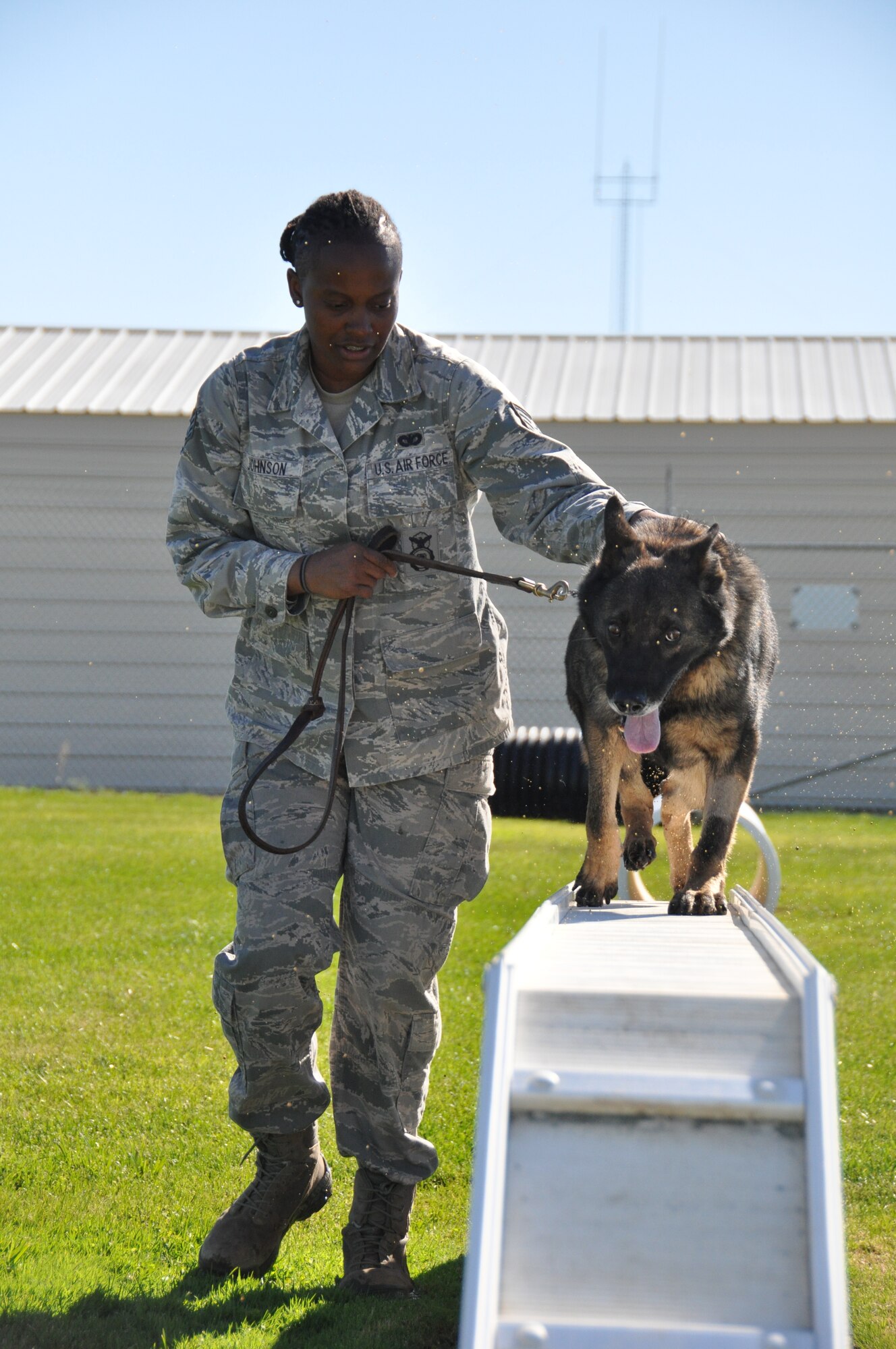 Staff Sgt. Natisha Johnson, 9th Security Forces Squadron military working dog handler, leads Frici through several exercises on the obstacle course during a demonstration at Beale Air Force Base, Calif., Nov. 7, 2014. The base tour allows civic leaders to see the base's various missions. Johnson recently returned from Afghanistan where she conducted outside the wire missions with another military working dog, Frigo, to detect explosives and narcotics. (U.S. Air Force photo by Tech. Sgt. Heather Skinkle/Released)
