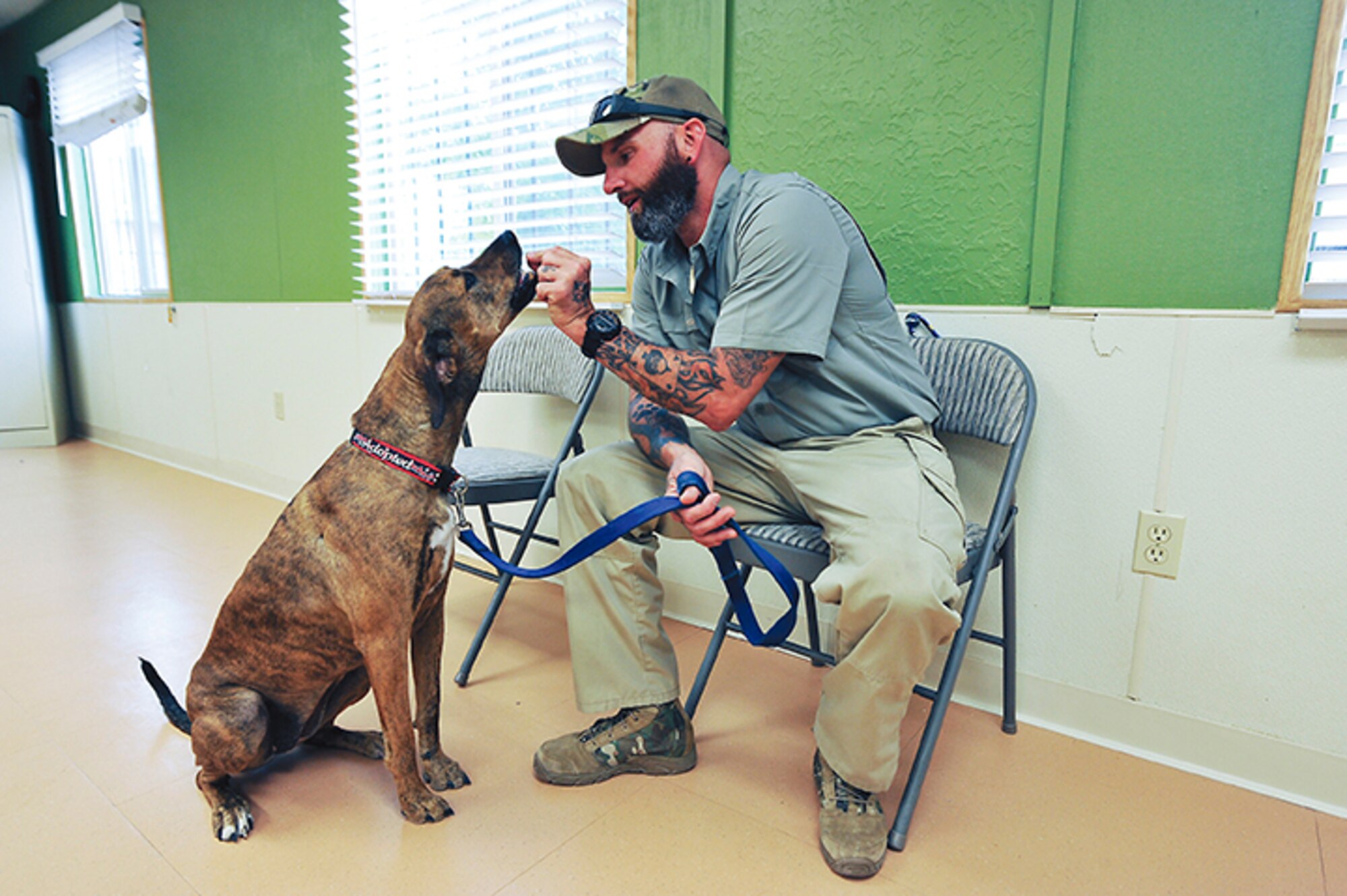 Jim Stanek, co-founder of Paws and Stripes in Rio Rancho, gives a rescued dog a treat. Paws and Stripes, based in Rio Rancho, provides service dogs for military veterans with post-traumatic stress disorder and traumatic brain injury. (Courtesy photo)