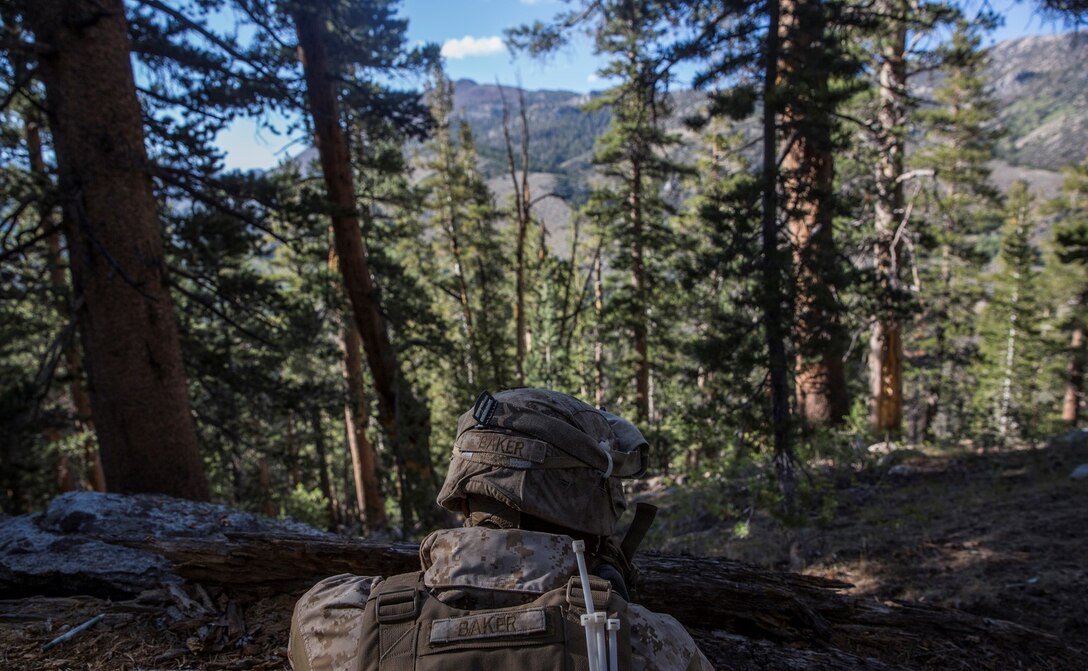 U.S. Marine Pfc. Grant K. Baker sits in a defensive position during Mountain Exercise 2014 aboard Marine Corps Mountain Warfare Training Center in Bridgeport, Calif., Sept. 9, 2014. Baker, 23, from Colorado Springs, Colo., infantry rifleman with 1st Platoon, Lima Company, 3rd Battalion, 1st Marine Regiment. Marines with 3/1 will become the 15th Marine Expeditionary Unit’s ground combat element in October. (U.S. Marine Corps photo by Sgt. Emmanuel Ramos/Released)