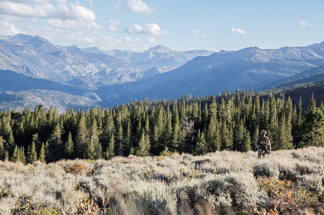 U.S. Marine Lance Cpl. Avery Fujie patrols an area during Mountain Exercise 2014 aboard Marine Corps Mountain Warfare Training Center in Bridgeport, Calif., Sept. 8, 2014. Fujie, 21, is from Hilo, Hawaii, and is an assaultman with 1st Platoon, Lima Company, 3rd Battalion, 1st Marine Regiment. Marines with 3/1 will become the 15th Marine Expeditionary Unit’s ground combat element in October. (U.S. Marine Corps photo by Sgt. Emmanuel Ramos/Released)