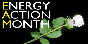 The U.S. Department of Energy designated October as Energy Action Month. During this time, federal government employees should help the nation shift toward clean energy. Training will be hosted Oct. 7 at Fort Eustis to allow facility managers to learn more about what they can do to drive energy consumption down. (U.S. Air Force graphic by 633rd Air Base Wing Public Affairs/Released)