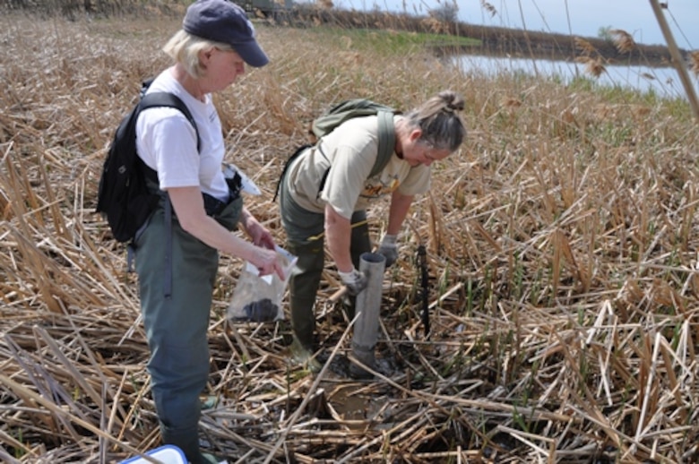 Deborah Shafer, ERDC research marine biologist and Judy Shearer, ERDC research plant pathologist, take a core sample to find what type of seeds are in the top 5 cm. of soil at Times Beach, Buffalo, NY.   Photo by: Andrew Kornacki, USACE