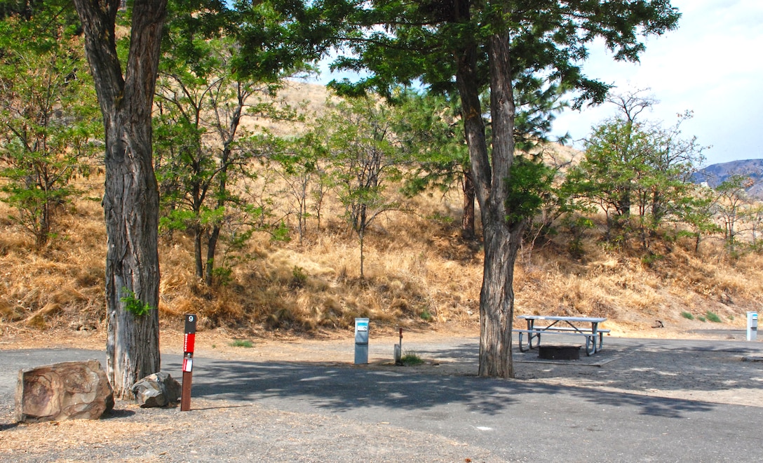 A close-up view of a few of Lepage Park's campsites.