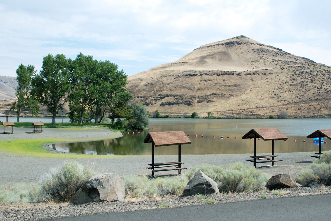 Overlooking Lepage Park's picnic area.
