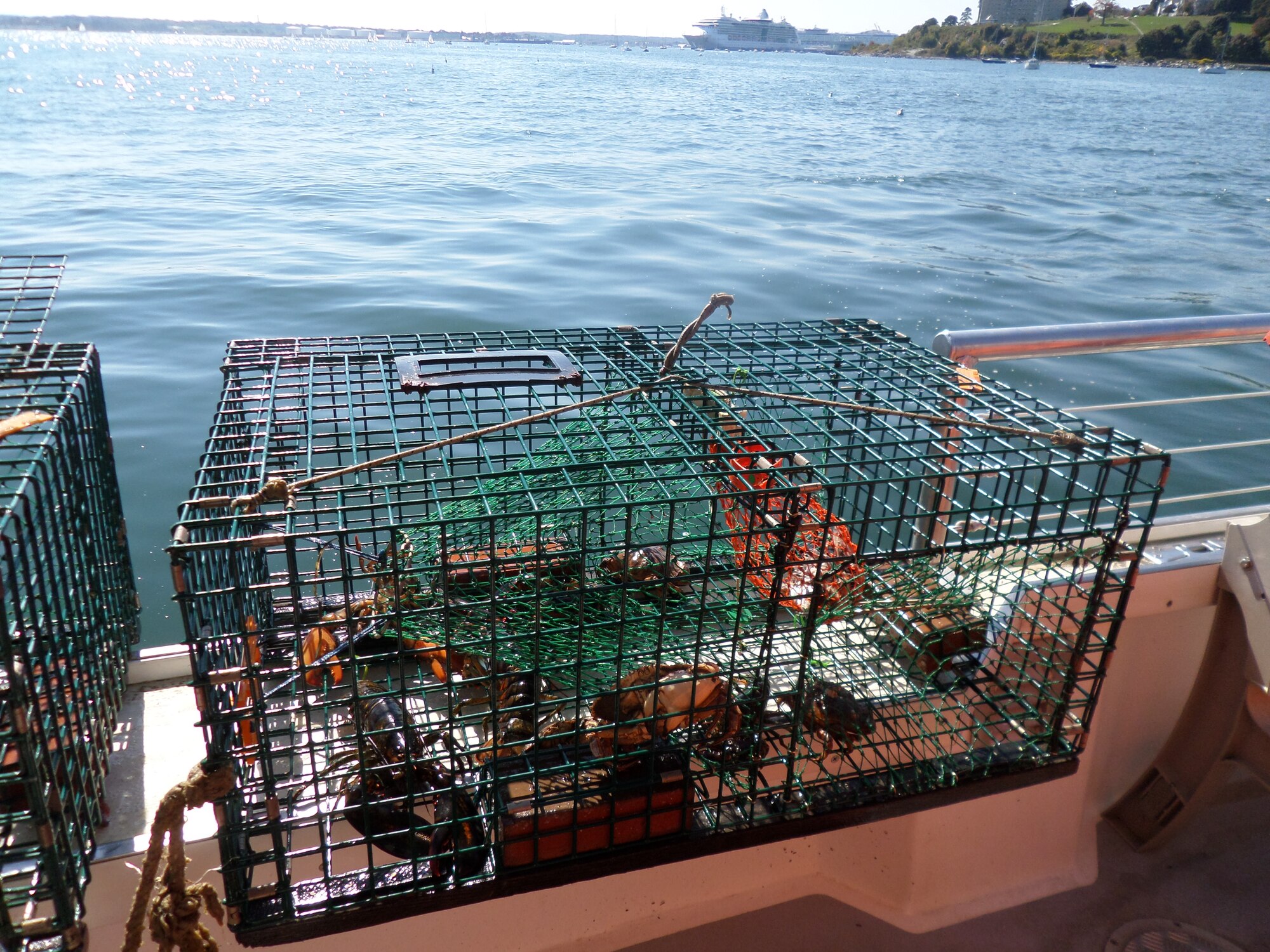 A lobster trap sets on the side of the Lucky Catch boat filled with freshly caught crabs and lobster. Officers, enlisted and civilian Airmen traveled to Portland, Maine, on a Junior Force Council lobstering trip Sept. 27. (U.S. Air Force photo by Jeff Price)