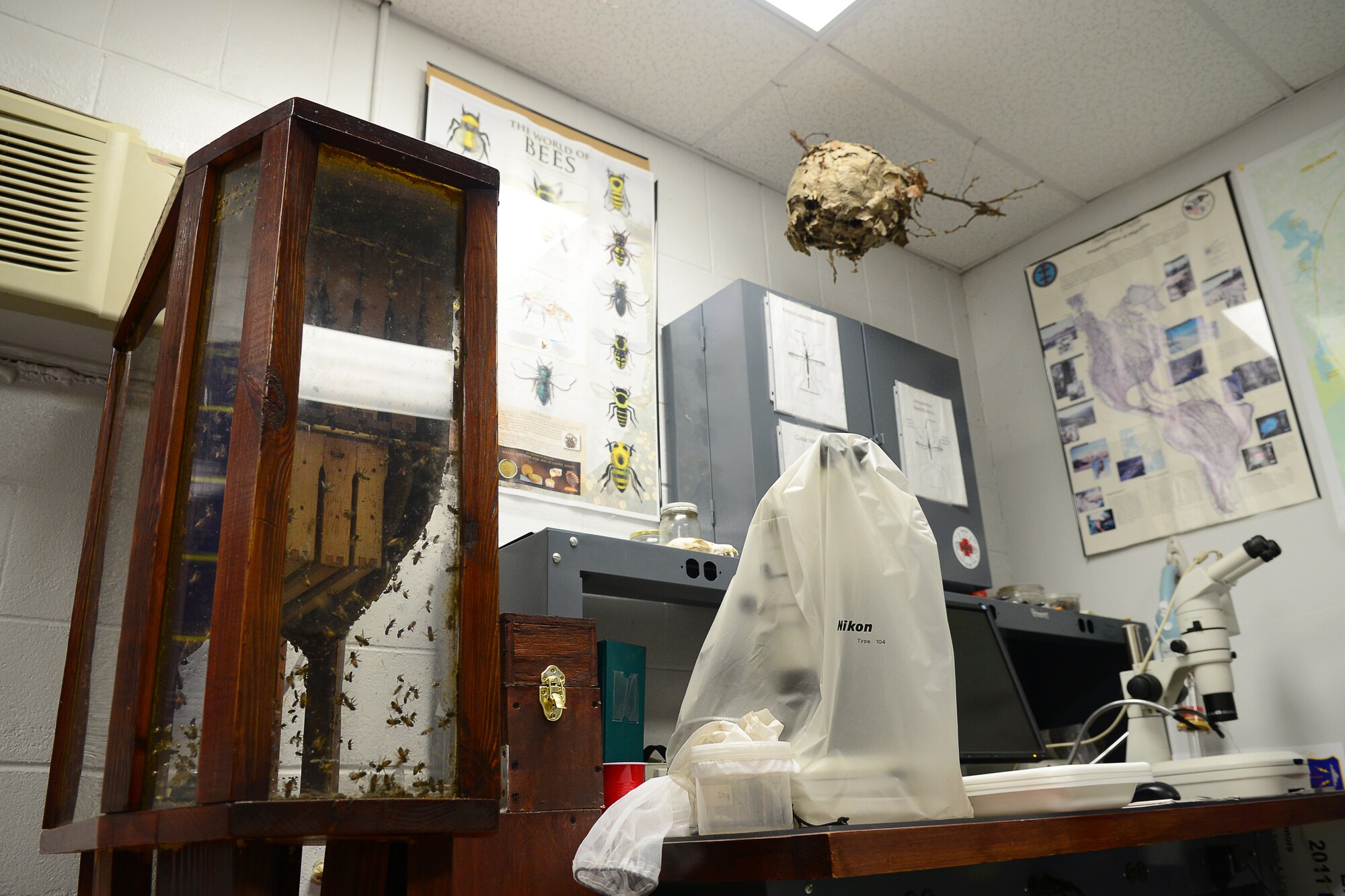 The 633rd Civil Engineer Squadron entomology shop keeps bee hives to gauge and study the rise and fall of the local bee population at Langley Air Force Base, Va. The entomology shop sprays a pesticide designed to exterminate mosquitos in an effort to prevent mosquito-borne diseases from infecting the local area. The shop keeps bees to observe whether or not the pesticide affects their population and activity. (U.S. Air Force photo by Airman 1st Class Devin Scott Michaels/Released)