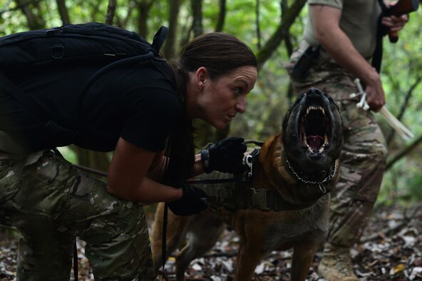 U.S. Air Force Staff Sgt. Shannon Hennessy, a 52nd Security Forces Squadron dog handler and native of Colusa, Calif., controls her dog, Katya, during combat survival training on a range in Baumholder, Germany, Sept. 30, 2014. Hennessy’s actions aimed to recreate scenarios pilots may find themselves in if captured. (U.S. Air Force photo by Senior Airman Gustavo Castillo/Released)  