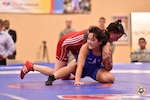The 2014 CISM World Military Wrestling Championship at Joint Base McGuire-Dix-Lakehurst, New Jersey on 3 October 2014.