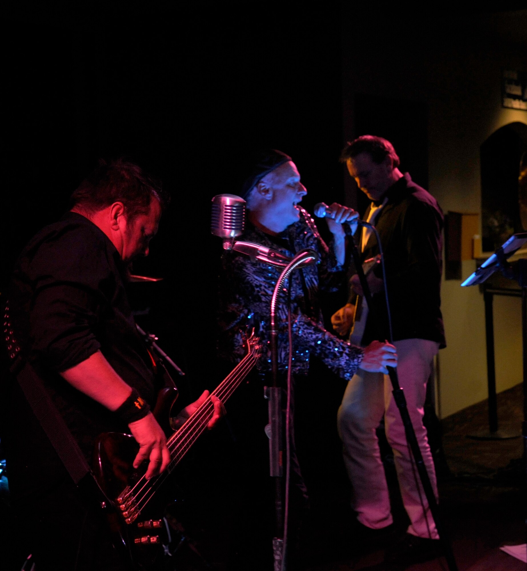 The band, the Molly Ringwald Project, performs live music for the Air Force Ball, Oct. 3, 2014, Vandenberg Air Force Base Calif. Music and dancing proved to be a festive way to end the ball. (U.S. Air Force Photo by Airman 1st Class Ian Dudley/Released) 