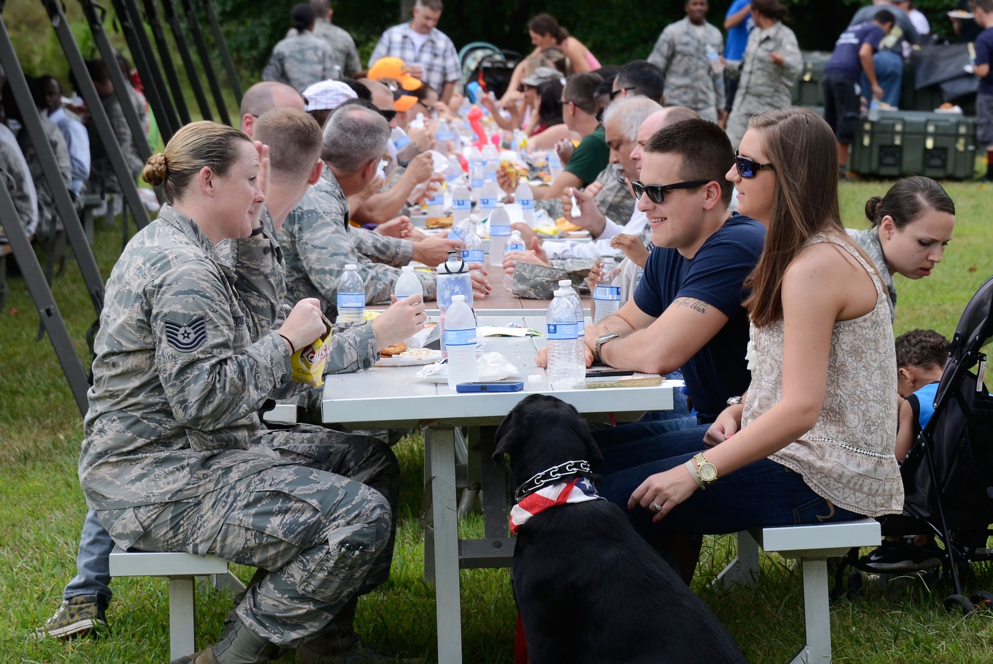 Members of the 94th Airlift Wing and their families participate in the 2014 Wing Family Day Sept. 6, 2014 at the Dobbins Lakeside Recreation Area. Attendees enjoyed music, food, automobile displays, dunking booths, exhibits, vendors, auctions, jumpy castles, face painting, a medival display, pet adoption, raffles, and Atlanta Falcons ticket giveaways. (U.S. Air Force photo/Don Peek)