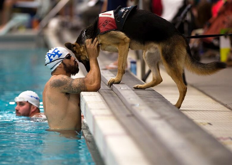 Air Force athlete August O'Niell kisses his service dog, Kai, during warm-ups for the swimming portion of the 2014 Warrior Games Sept. 30, 2014, at the U.S. Olympic Training Center in Colorado Springs, Colorado. The Warrior Games consist of athletes from the Defense Department, who compete in Paralympic-style events for their respective military branch. (U.S. Air Force photo/Senior Airman Justyn M. Freeman)