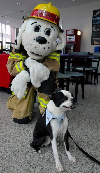 Two old friends, Capt. Spanky and Sparky the Fire Dog, meet up after many doggie-years appart to help raise awareness of fire prevention. (U.S. Air Force photo/Senior Airman Timothy Moore)