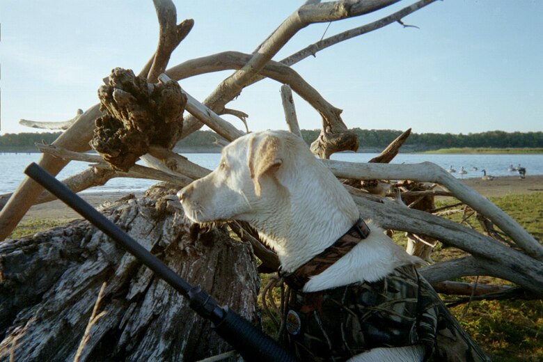 Hunting at area lakes.