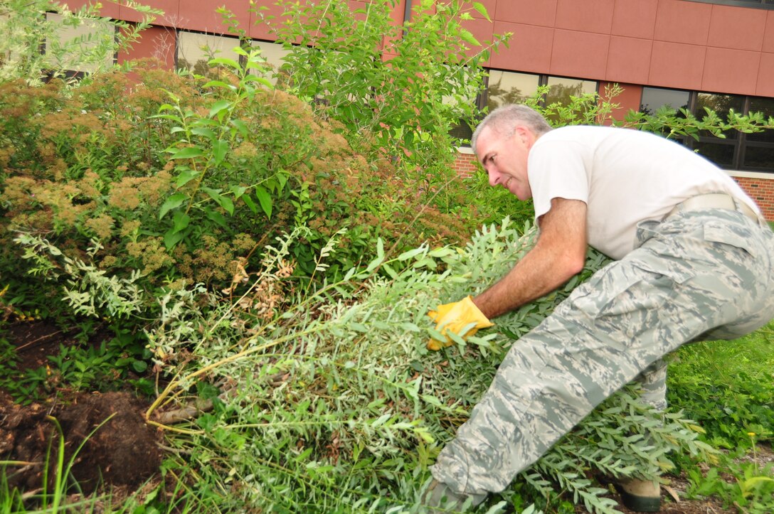 Lt. Col. Randy Stoeckmann, deputy commander, 932 Mission Support Group, helped trim up the hedges and pulled overgrowth in front of the headquarters building during a recent cleaning event at the 932nd Airlift Wing. Various staff and 932nd Airlift Wing members joined together to work on a self-help project cleaning the grounds in front of the wing headquarters building during a unit training assembly. A large amount of material was cleaned up. (U.S. Air Force photo/Staff Sgt. Amber Hodges)
