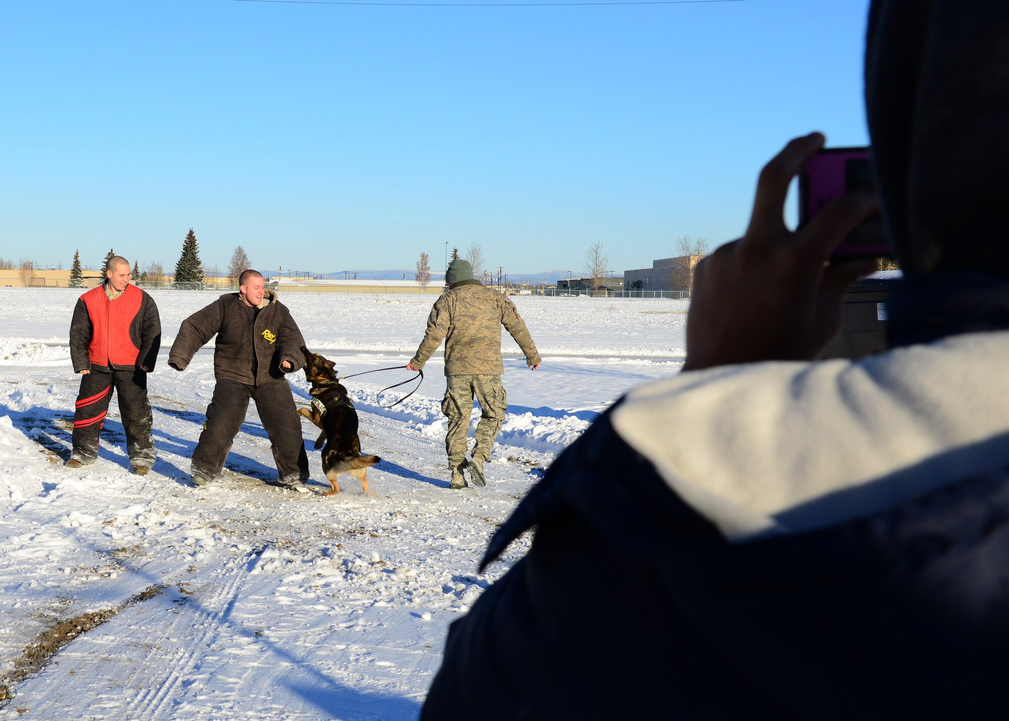 Devon Garreo, a 9th grader at Ben Eielson High School, watches a training exercise as part of a job shadow from the 354th Security Forces Squadron military working dog handlers at Eielson Air Force Base, Alaska, Oct. 9, 2014. Carter was among 17 students who participated in a job shadow program that allowed them to spend eight hours learning all aspects of the job of their choice. (U.S. Air Force photo by Senior Airman Ashley Nicole Taylor/Released)