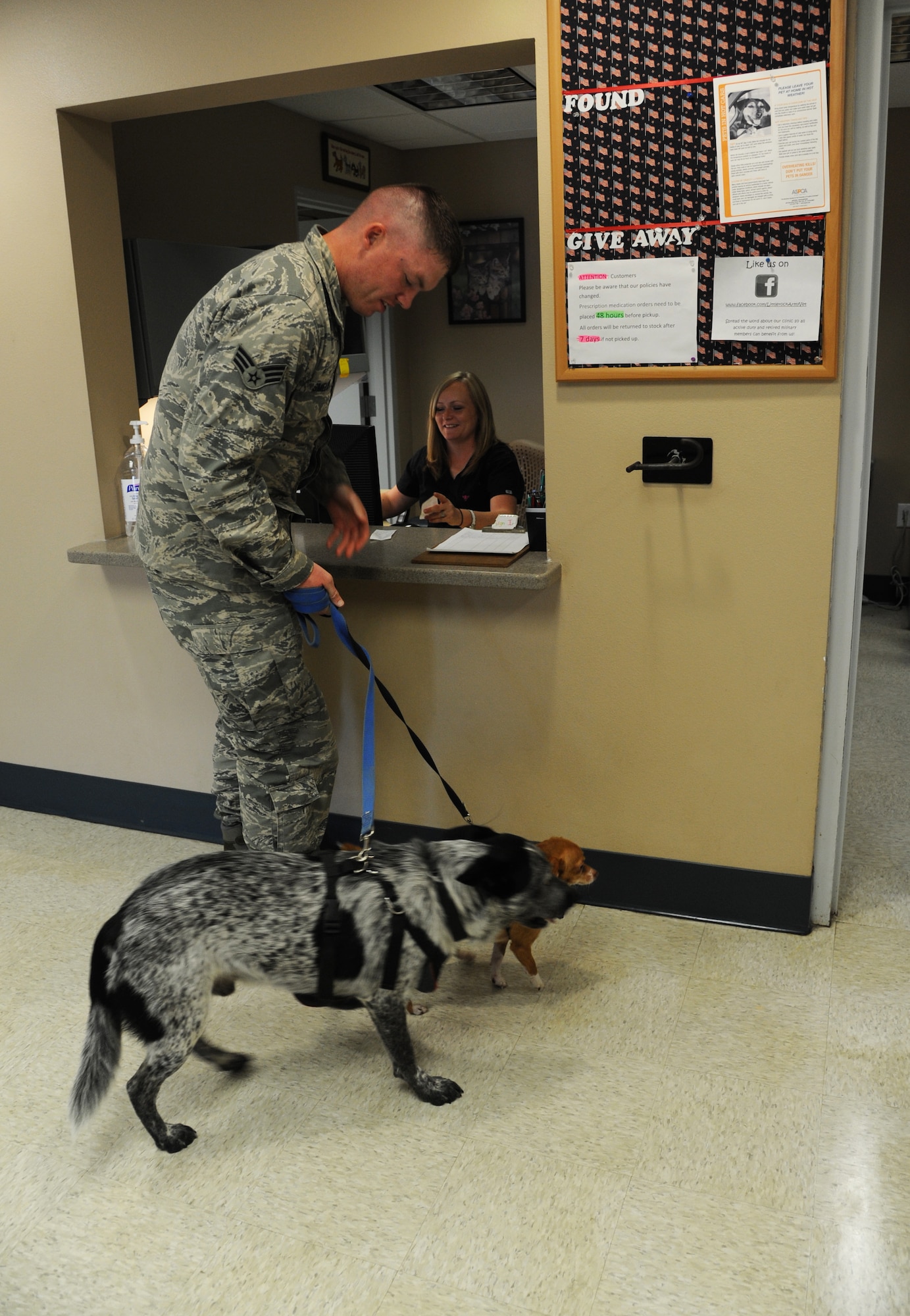 Senior Airman Levi Smelser, a 19th Civil Engineer Squadron structural journeyman, checks out his dogs from the U.S. Army Veterinary Services Clinic Sept. 10, 2014, at Little Rock Air Force Base, Ark. Smelser brought his dogs in for their annual checkup. (U.S. Air Force photo by Airman 1st Class Mercedes Muro) 