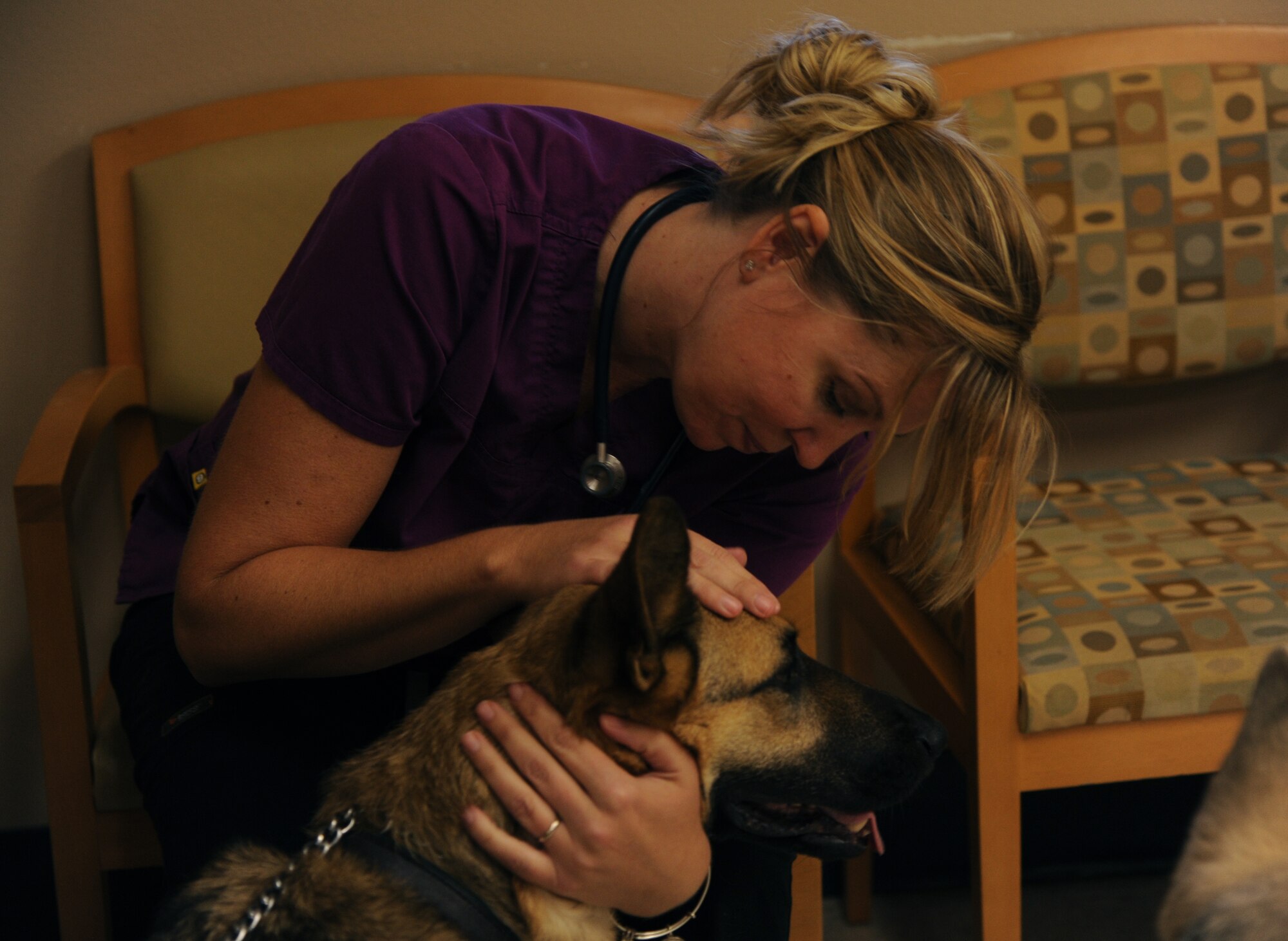 Katherine Bishop, a veterinary technician at the U.S. Army Veterinary Services Clinic, greets Logan Sept. 10, 2014, at Little Rock Air Force Base, Ark. Logan was at the clinic to get the proper vaccinations his trip to Japan. (U.S. Air Force photos by Airman 1st Class Mercedes Muro) 