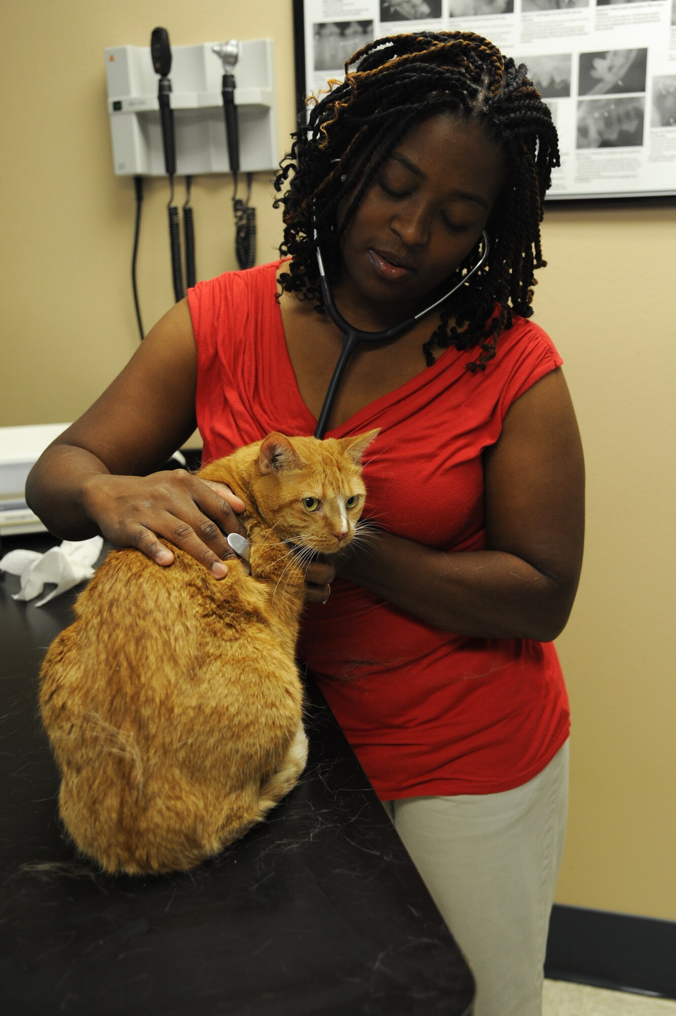 Arnetha Brooks, a veterinarian at the U.S. Army Veterinary Services, checks respiratory patterns on Lyra, a feline patient at U.S. Army Veterinary Services, on Sept. 10, 2014, at Little Rock Air Force Base, Ark. Lyra was at the veterinary clinic for her annual checkup. (U.S. Air Force photo by Airman 1st Class Mercedes Muro) 