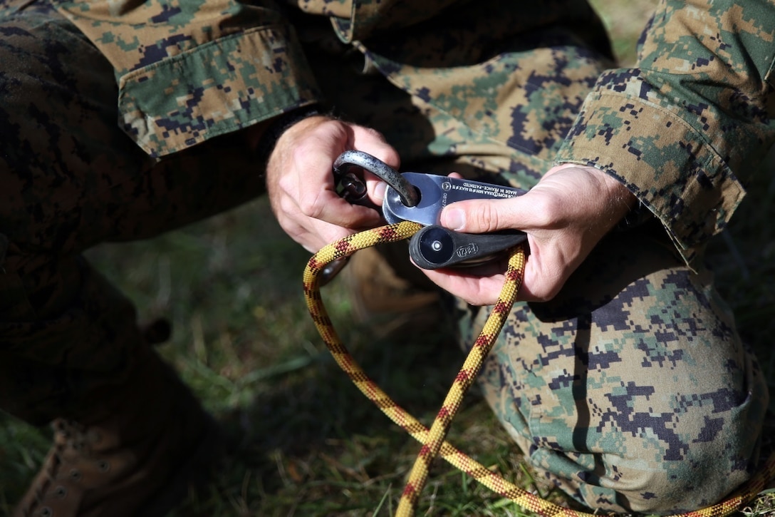 U.S. Marines and sailors from Black Sea Rotational Force 14 participated in Platinum Lynx 14.6 in the Carpathian Mountains from Sept. 29 to Oct. 3 in Miercurea Ciuc, Romania. Knowledge and understanding of skills and tactics in mountain regions was shared between the Marines and Romanian Land Forces to help sustain readiness in any location. Service members trained with the 61st Mountain Troops Brigade from the Romanian Land Forces in rappelling, rock climbing, a live-fire range and survival skills. The exercise concluded with a 15-kilometer troop movement in high-elevation terrain. (U.S. Marine Corps photo by Lance Cpl. Ryan Young/released)