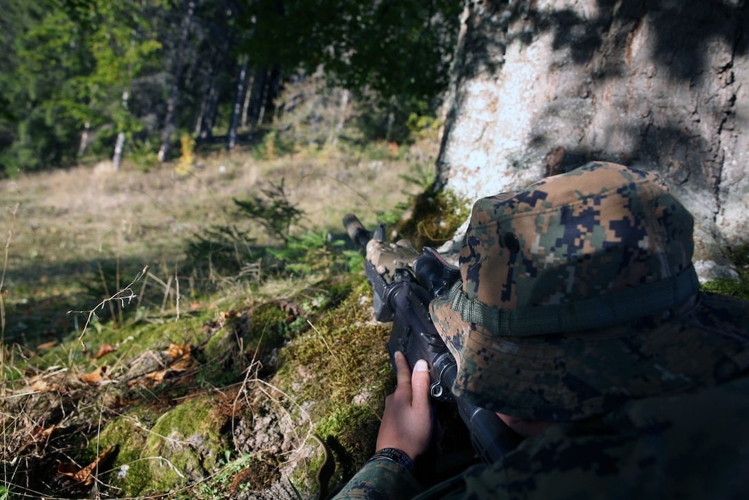 U.S. Marines and sailors from Black sea Rotational Force 14 participated in Platinum Lynx 14.6 in the Carpathian Mountains from Sept. 29 to Oct. 3 in Miercurea Ciuc, Romania. Knowledge and understanding of skills and tactics in mountain regions was shared between the Marines and Romanian Land Forces to help sustain readiness in any location. Service members trained with the 61st Mountain Troops Brigade from the Romanian Land Forces in rappelling, rock climbing, a live-fire range and survival skills. The exercise concluded with a 15-kilometer troop movement in high-elevation terrain. (U.S. Marine Corps photo by Lance Cpl. Ryan Young/released)