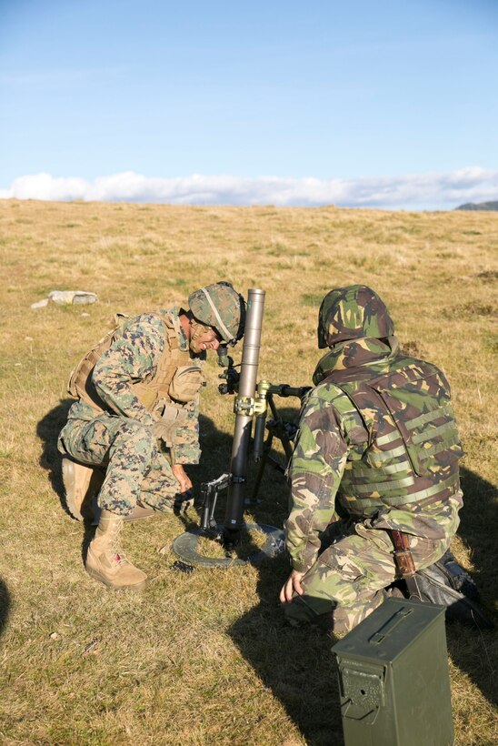 Marines and Sailors on Black Sea Rotational Force 14, with members of the Romanian Land Forces, worked together during Platinum Lynx at the Carpathian Mountains, Romania. Marines and Romanians fostered knowledge through weapons familiarization classes and mountain warfare training. (U.S. Marine Corps photo by Lance Cpl. Ryan Young/released