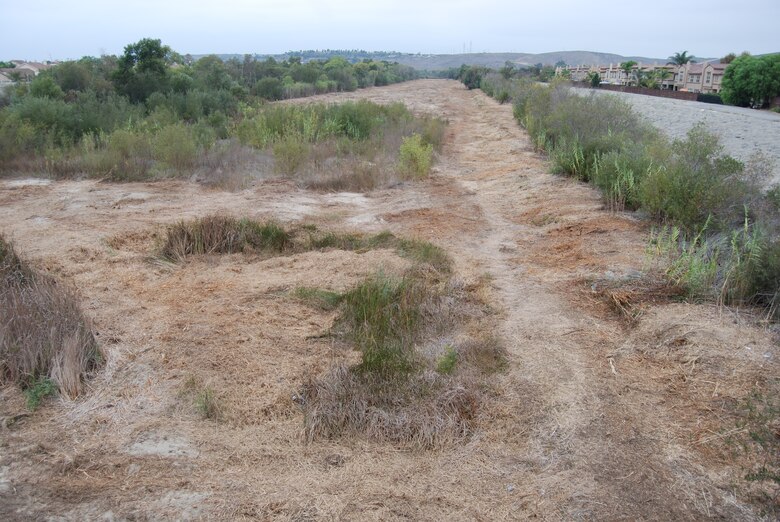 This segment of the San Luis Rey River immediately downstream from the Douglas Drive bridge shows the variety of vegetative management necessary to meet the Corps' requirement to reduce the risk of flooding while continuing to provide habitat for protected species.