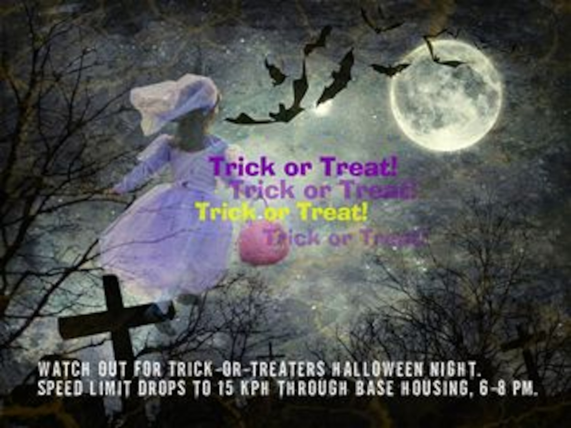 (U.S. Air Force Graphic by Naoko Shimoji/Released)