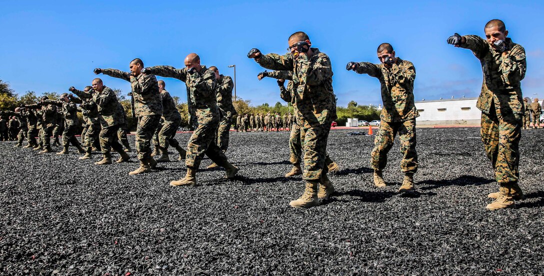 Recruits with Echo Company, 2nd Recruit Training Battalion, perform the rear-hand punch technique during their Marine Corps Martial Arts Program test at Marine Corps Recruit Depot, Oct. 8. After recruit training the recruits can move toward earning a MCMAP black belt.