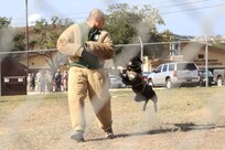Military working dog Luigi lunges after Staff Sgt. Paul Olmos, 802nd Security Forces Squadron military working dog handler, during a military working dog demonstration for 502nd Air Base Wing honorary commanders Oct. 10, 2014 at Joint Base San Antonio-Lackland. Honorary commanders toured locations at JBSA-Lackland and JBSA-Camp Bullis to get a better understanding of the missions that take place at the two locations, and to build a stronger bond between the local community and the military. (U.S. Air Force photo by Airman 1st Class Stormy Archer/Released)