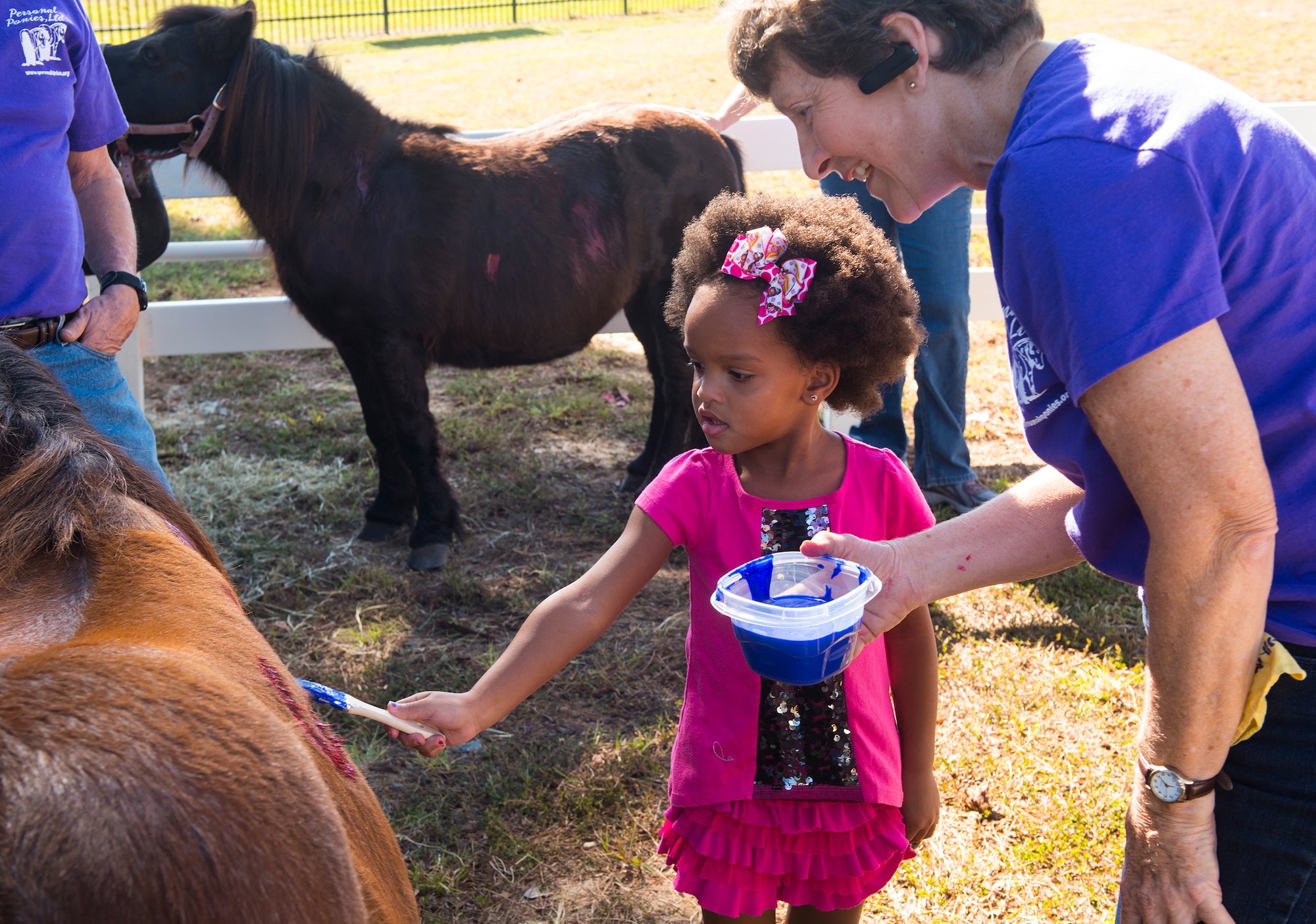 Alivia, daughter of U.S. Air Force Staff Sgt. Justin Aiken, 822d Base Defense Squadron, paints a pony during the 4th Annual Child Expo Oct. 25, 2014, at Moody Air Force Base, Ga. During the day children painted, groomed and fed the ponies; these activities taught responsibility while giving the children something to love and care for. (U.S. Air Force photo by Airman 1st Class Ceaira Tinsley/Released)