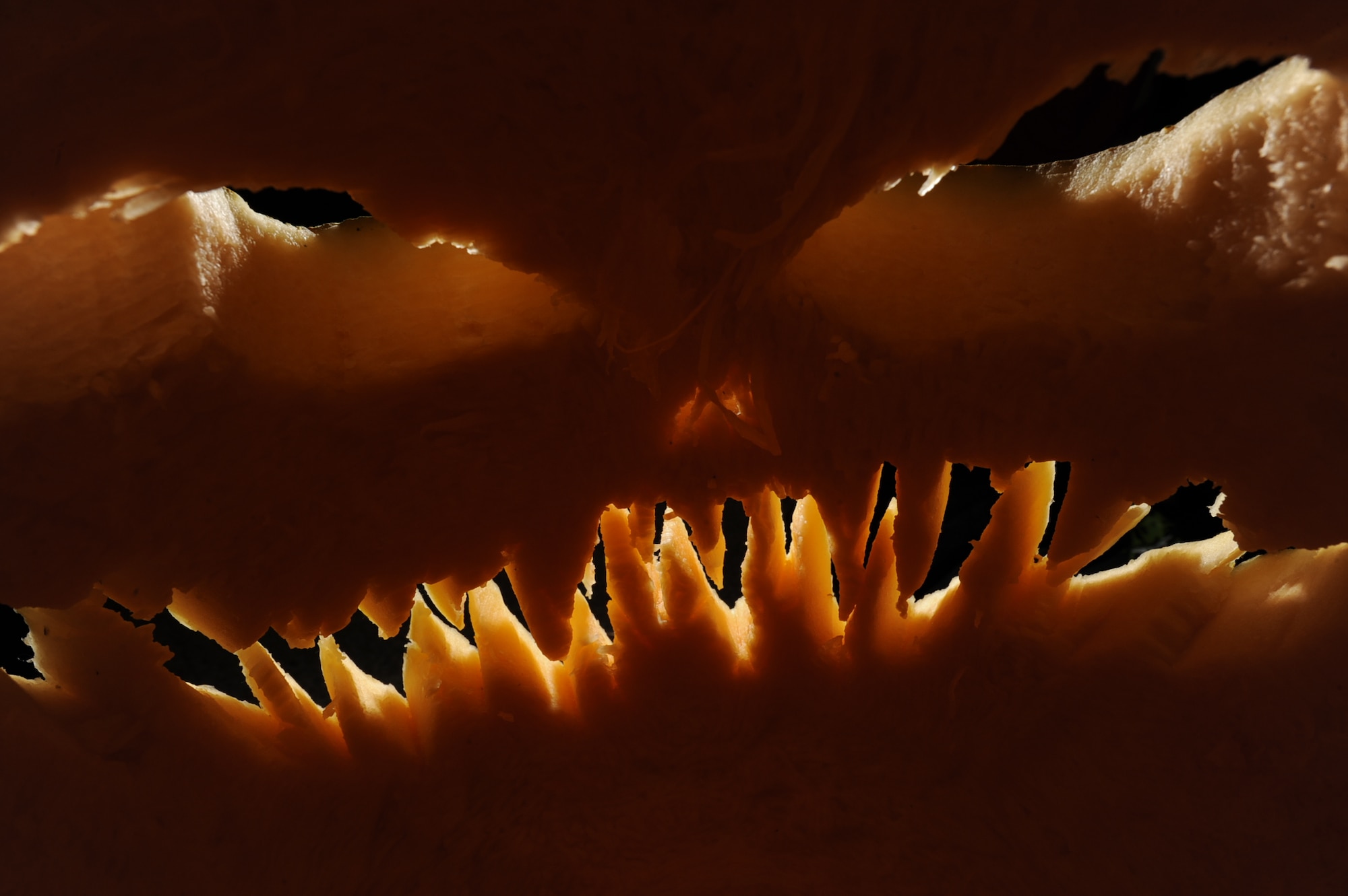 Oct. 31, 2014 marks Halloween for Minot Air Force Base, N.D. and the rest of the U.S. It is important for trick-or-treaters to keep safety in mind while celebrating this holiday. Look both ways when crossing the street, wear reflective garments, check candy and travel in groups to keep safe this year. (U.S. Air Force photo/Senior Airman Stephanie Morris)