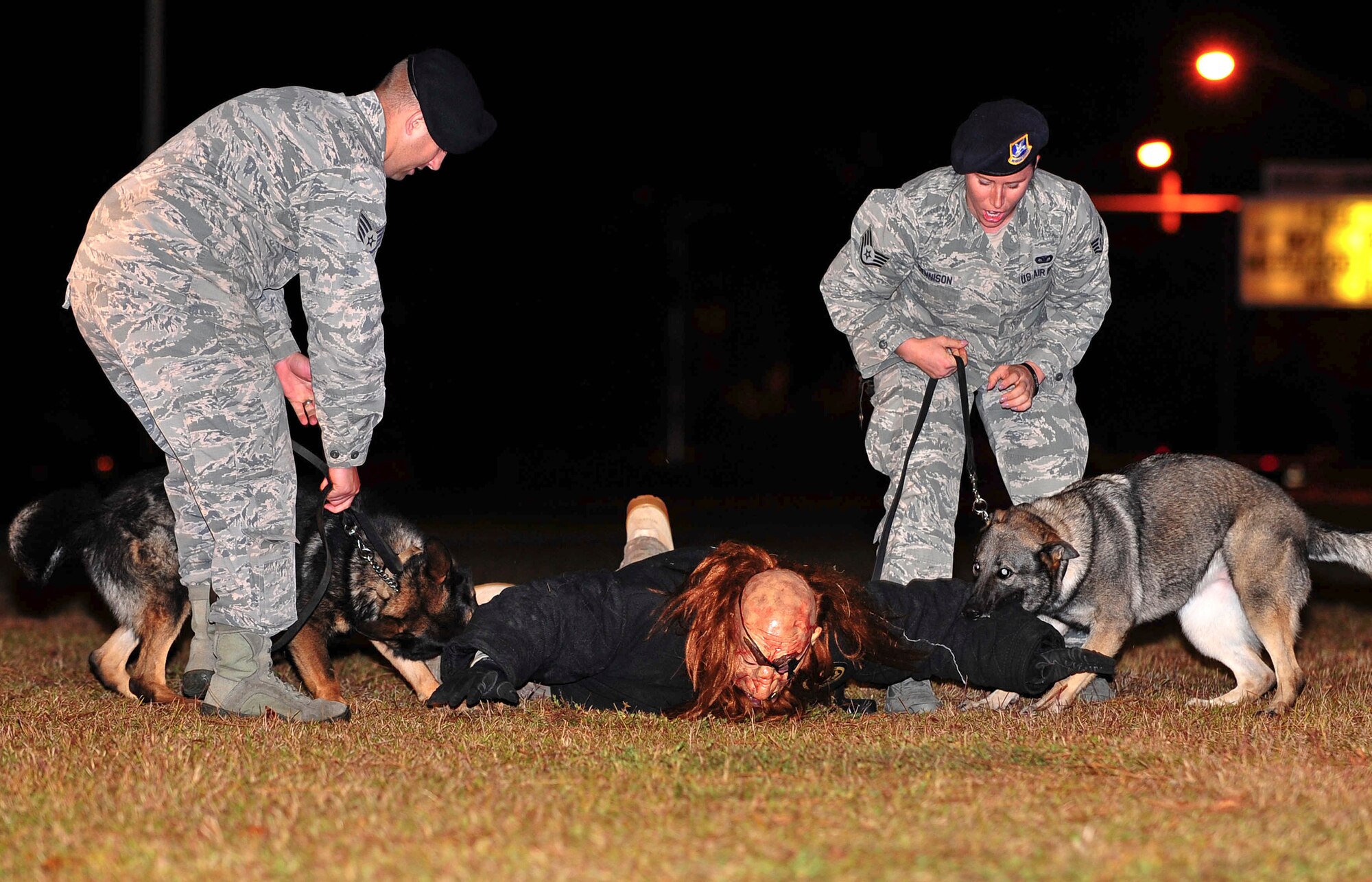4th Security Forces Squadron Military Working Dog handlers Staff Sgt. Bruce Weir and Staff Sgt. Kristina Dennison, along with their MWDs Guru and Gina, take down a zombie during a demonstration during the Halloween Block Party at Seymour Johnson Air Force Base, North Carolina, Oct. 24. (U.S. Air Force photo/Senior Airman John Nieves Camacho)