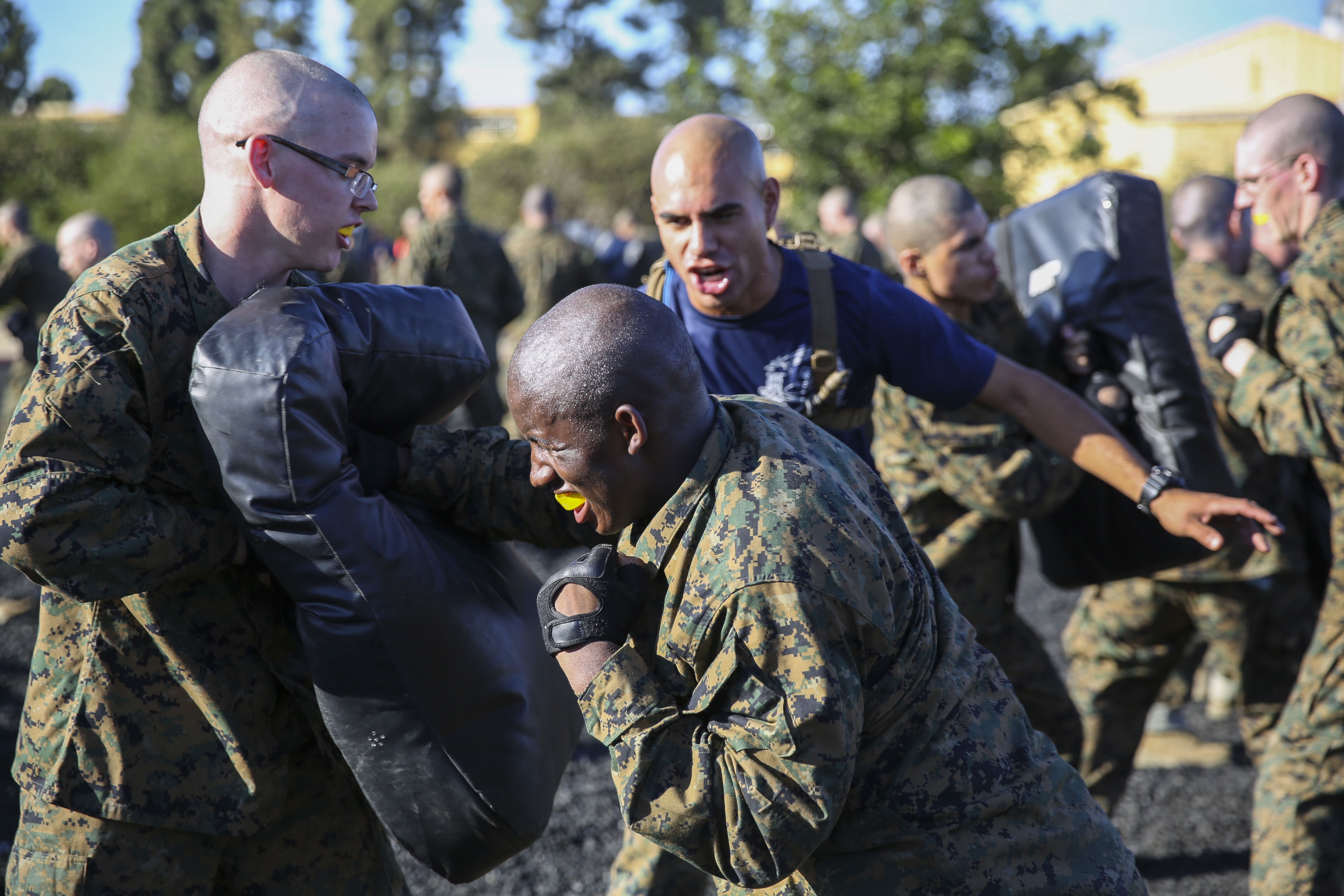 3rd battalion drill instructor shirts