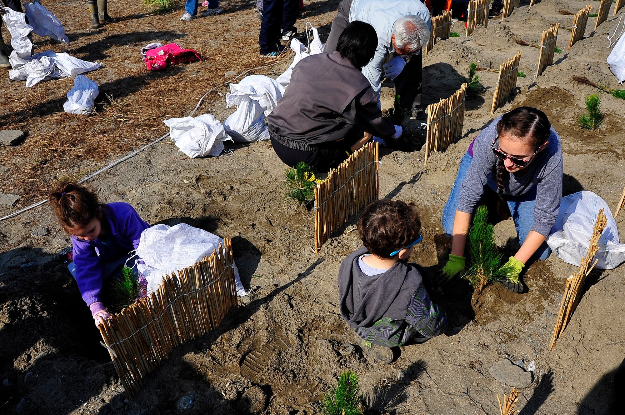 U.S. Air Force Tech. Sgt. Nicholas Lalonde, 35th Civil Engineer Squadron structural craftsman, and his family spend time planting trees during the 2nd Annual Coastal Shore Belt Reconstruction Forest Project near Itsukawame, Japan, Oct. 25, 2014.  More than 200 U.S. and Japanese people participated in restoring the Coastal Shore Belt trees damaged in the 2011 tsunami.  (U.S. Air Force photo/Tech. Sgt. April Quintanilla)