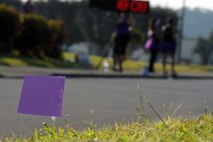 Purple flags line the path of Kadena Family Advocacy's "Take a Stand Against Domestic Violence" 5K on U.S. Marine Corps Camp Lester, Japan, Oct. 25, 2014. The color purple represents the courage, survival, honor and dedication it takes to end domestic violence. (U.S. Air Force photo by Airman 1st Class Zade C. Vadnais/Released)