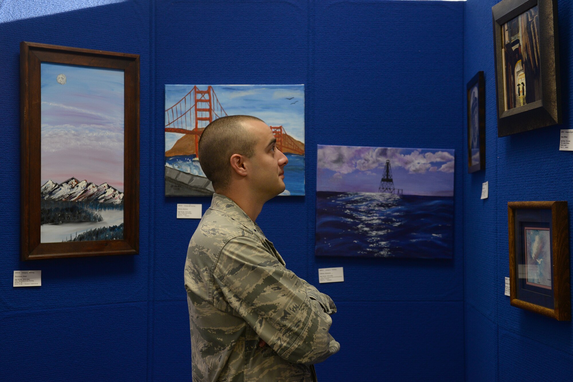 Members of Team Scott exhibited their talent in the 2014 Art Show at Scott Air Force Base, Ill. Each participant was allowed to enter three pieces of art. All artwork was displayed Oct. 20 through Oct. 24 at the Base Library. (U.S. Air Force photo/ Airman 1st Class Erica Crossen)