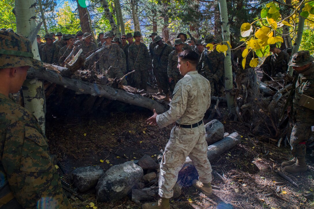 Staff Sgt. Omar Barroso, a mountain warfare instructor at Marine Corps Mountain Warfare Training Center Bridgeport, Calif., instructs Marines on the elements of a proper survival shelter Oct. 11, 2014. CLB-6 teamed up with 2nd Battalion, 5th Marine Regiment, 1st Marine Division for the monthlong Summer Mountain Warfare Exercise, where they were taught survival skills in the Sierra Nevada Mountains. The training package helps to ensure the readiness and relevance of 2nd MLG forces to be employed in support of combatant command requirements. (U.S. Marine Corps photo by Lance Cpl. Preston McDonald/Released)