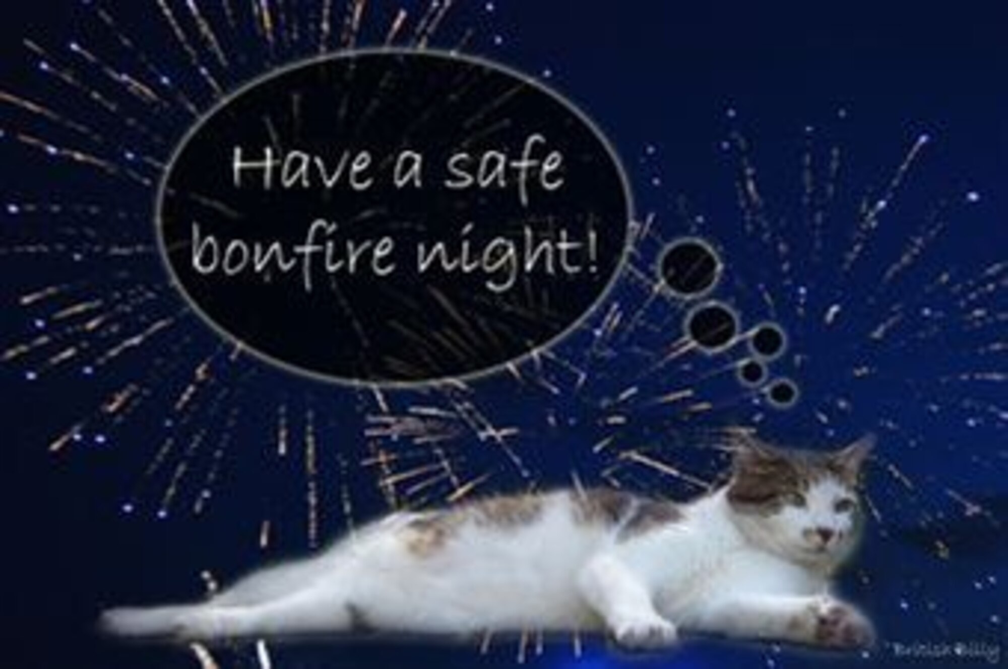 Bonfire Night is a great British tradition. As neighbourhoods and communities build bonfires in gardens and playing fields, they are commemorating the survival of King James I after the foiling of a plot to blow up the Houses of Parliament in 1605. Bonfires will be aflame and fireworks aglow, whizzing and exploding across the November skies. (US Air Force graphic by Staff Sergeant Lausanne Kinder)